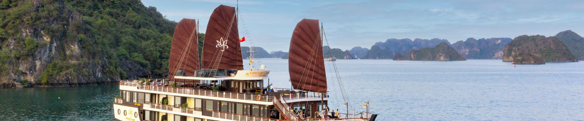 Orchid Trendy Cruise